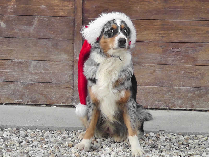 Publication : du Feeling de Nolister Auteur : Du Pays aux Longs Hivers