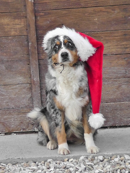 Publication : du Feeling de Nolister Auteur : Du Pays aux Longs Hivers