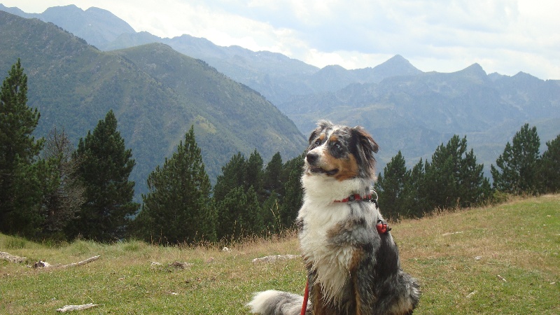 Publication : du Feeling de Nolister Auteur : Du Pays aux Longs Hivers