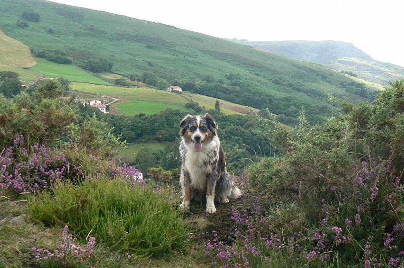 Publication : du Feeling de Nolister Auteur : Du Pays aux Longs Hivers
