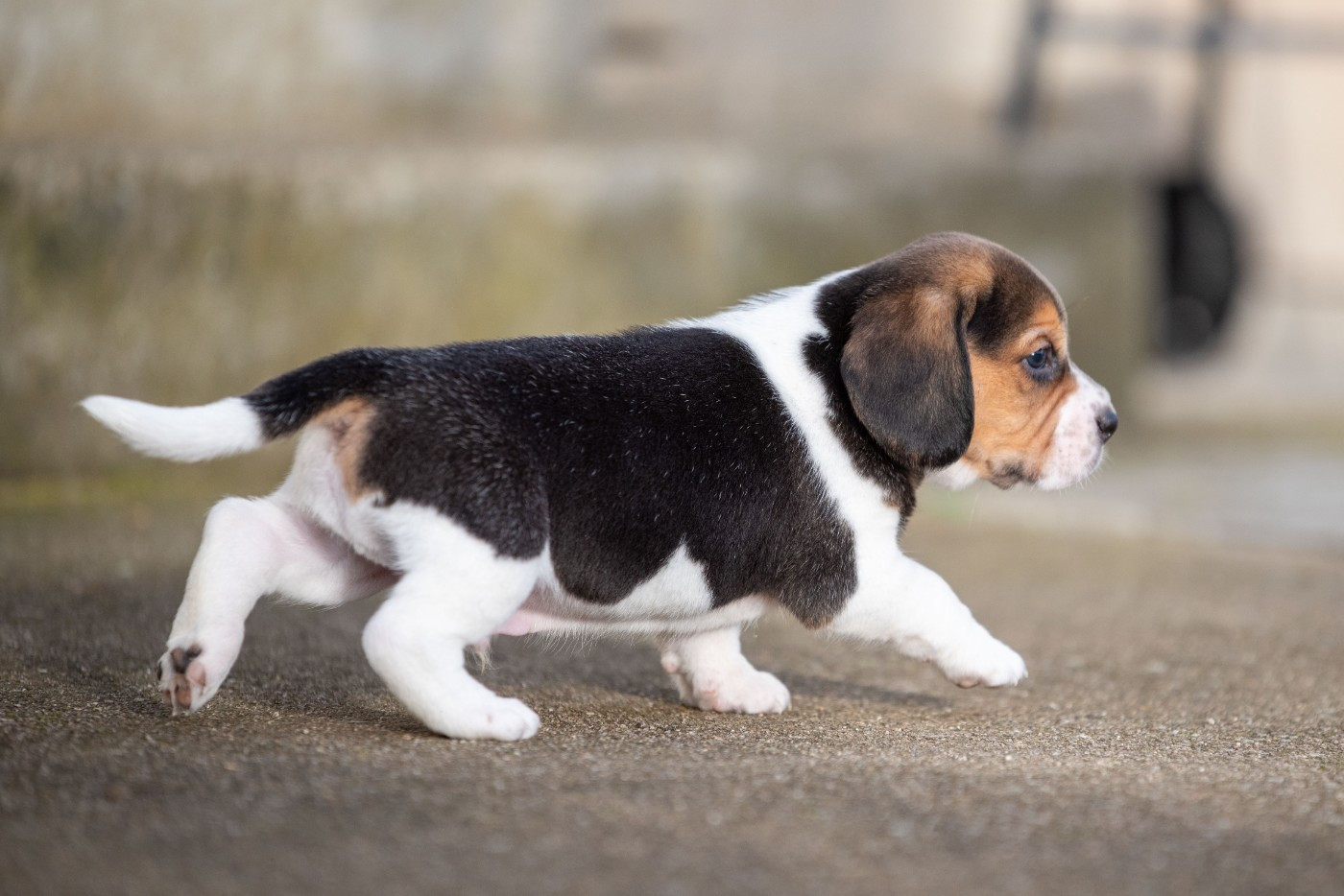 AIKO Du Feeling de Nolister