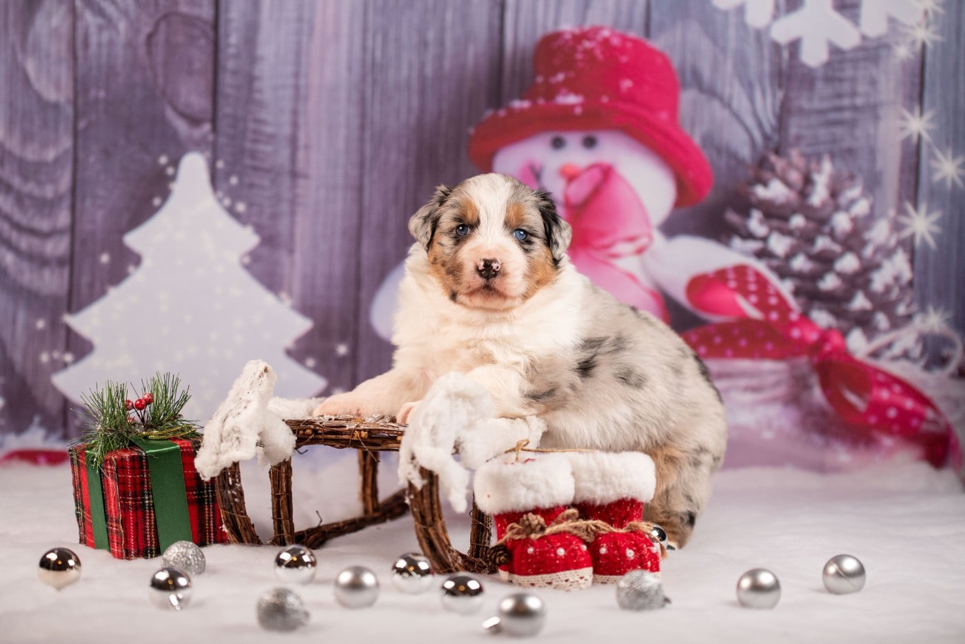 A du Feeling de Nolister