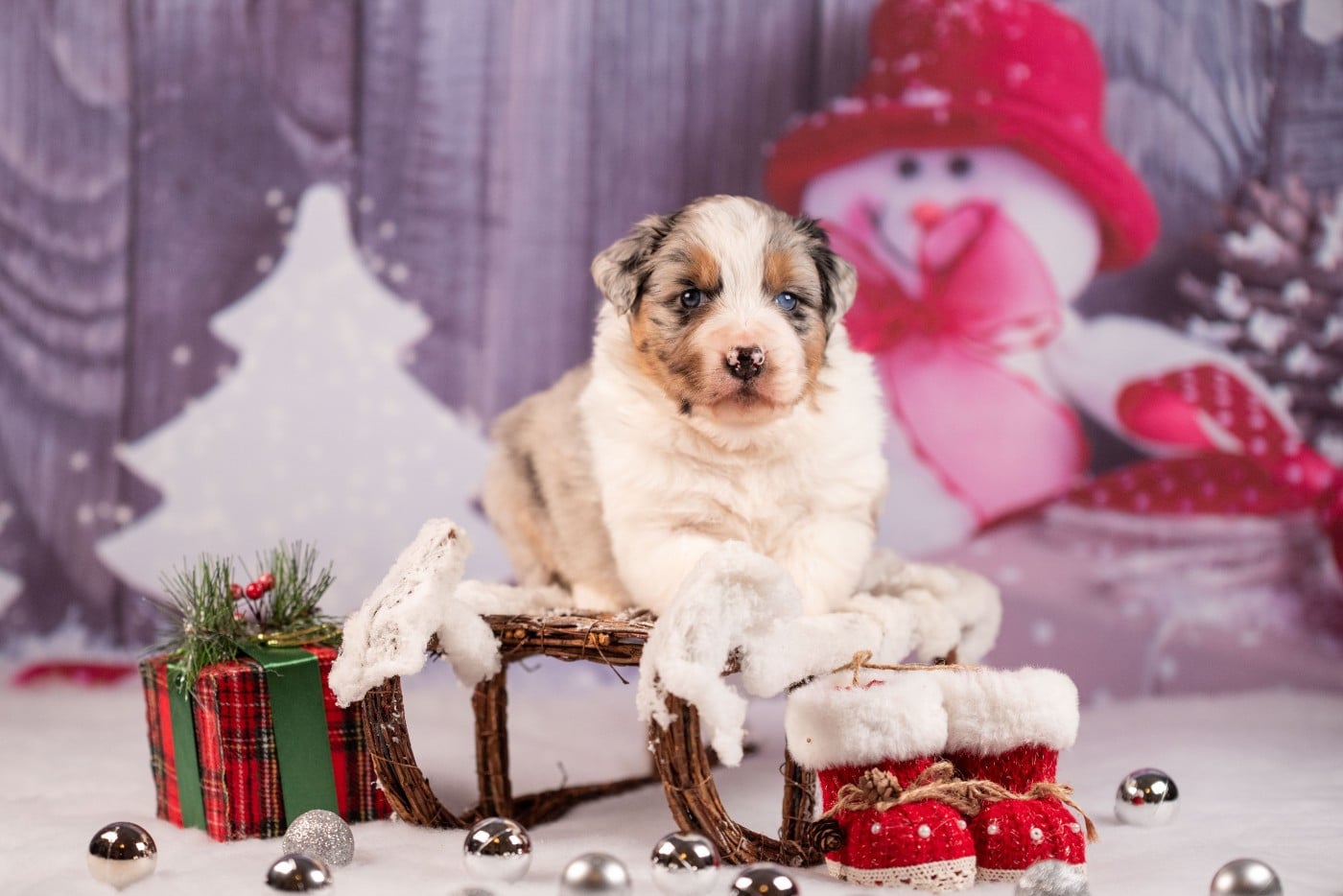 A du Feeling de Nolister