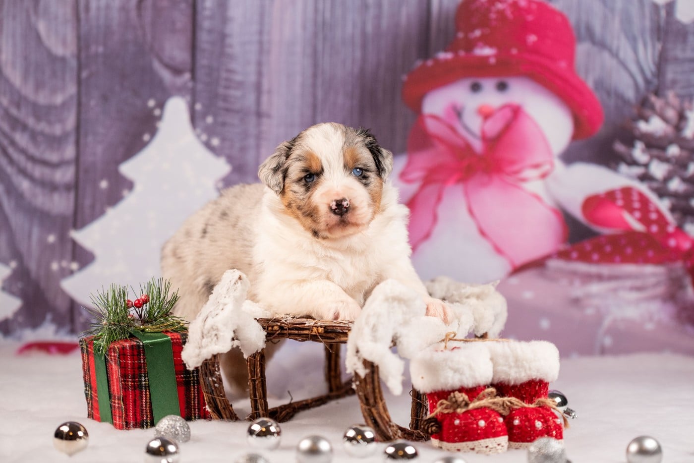 A du Feeling de Nolister