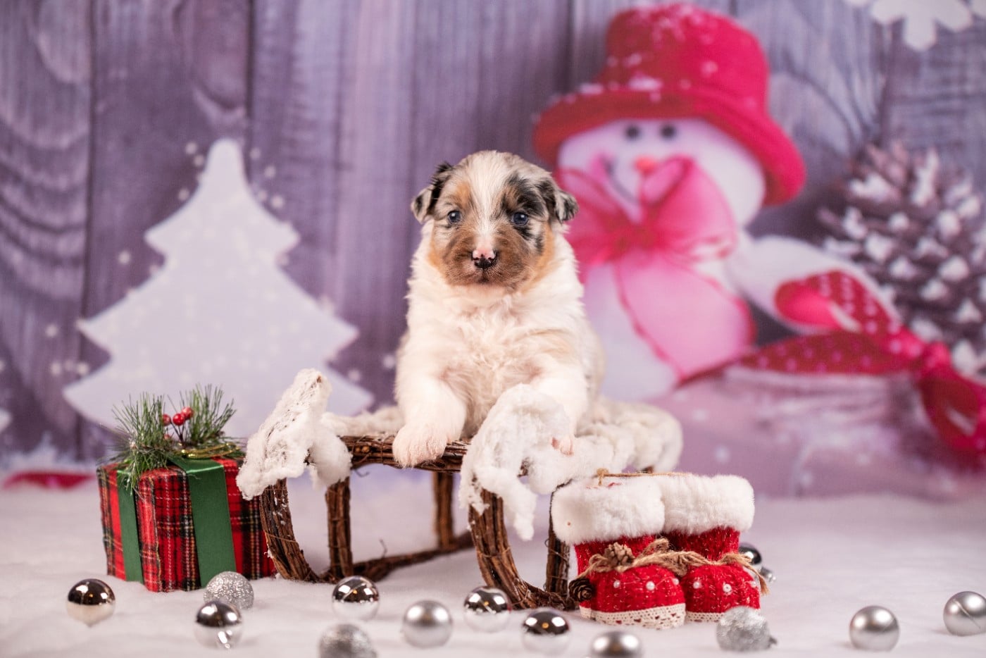 A du Feeling de Nolister