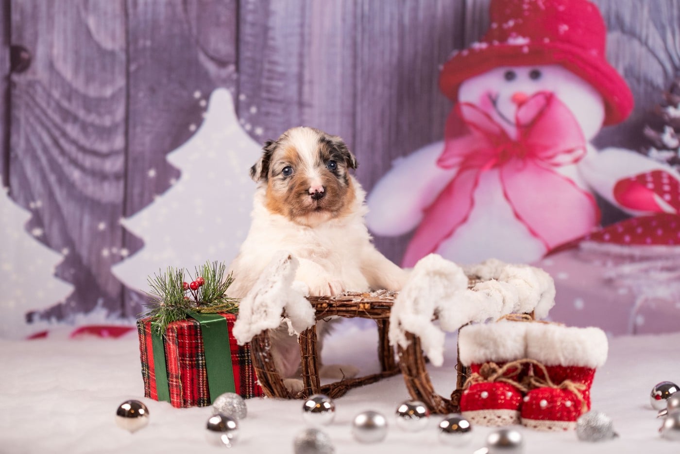 A du Feeling de Nolister