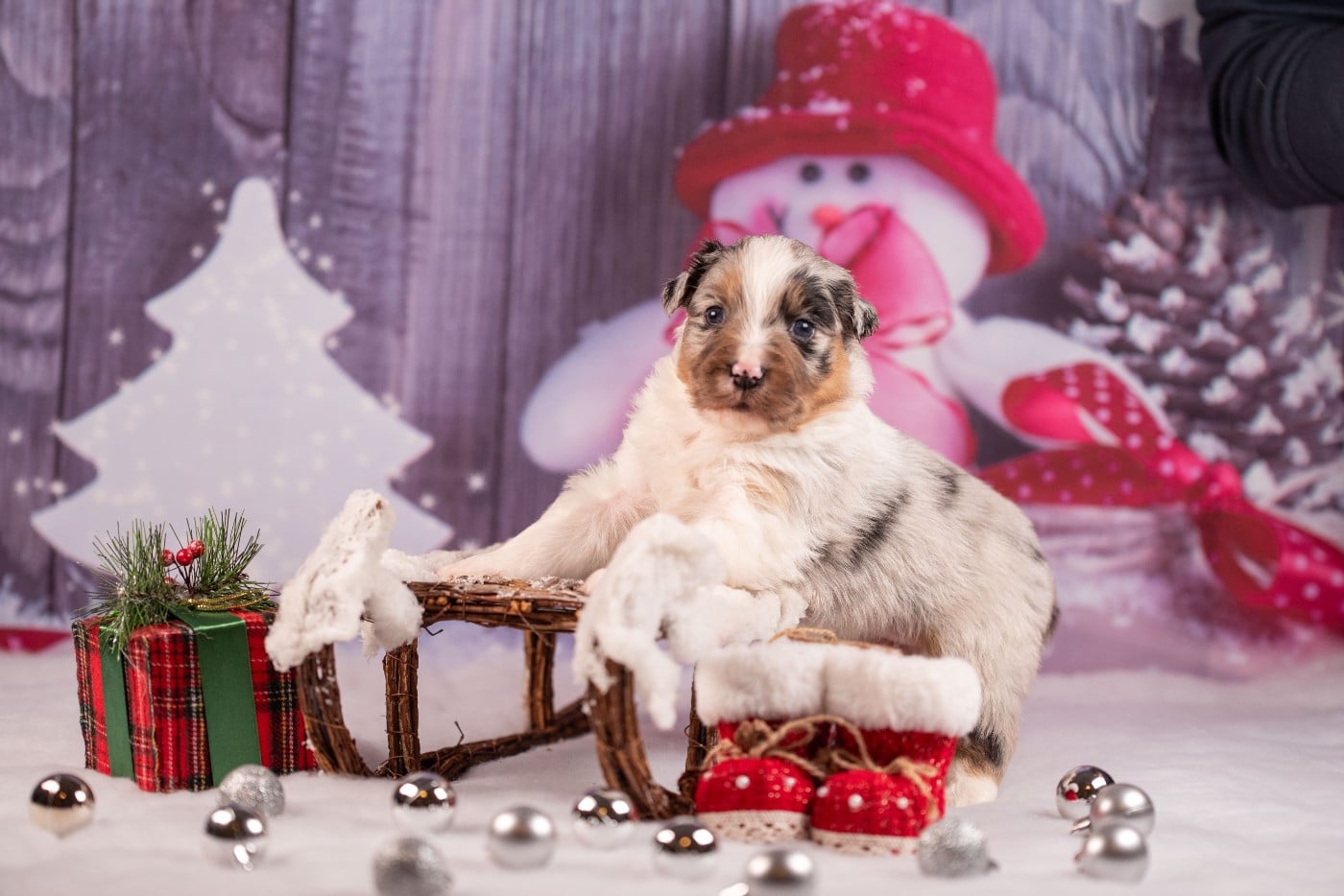 A du Feeling de Nolister