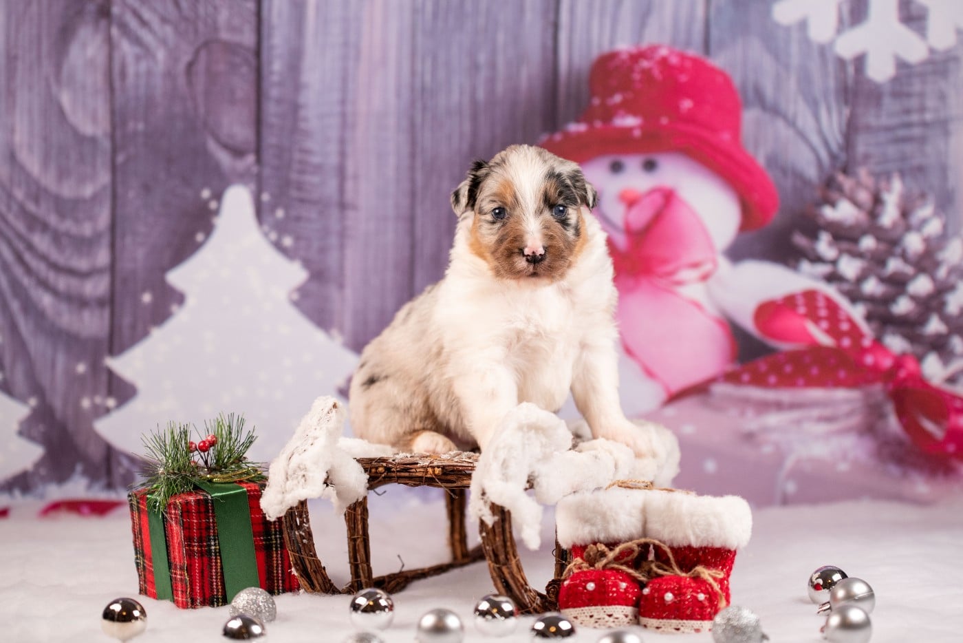 A du Feeling de Nolister