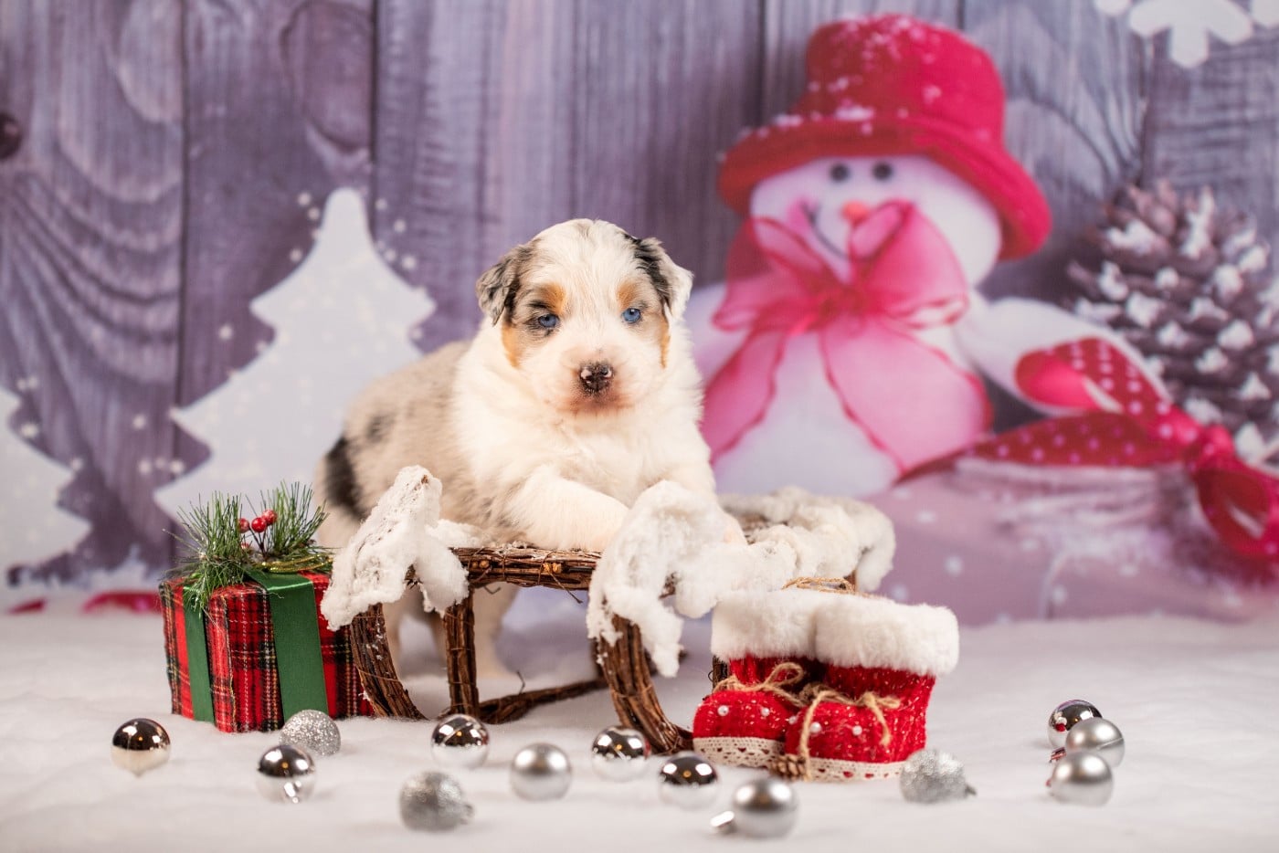 A du Feeling de Nolister