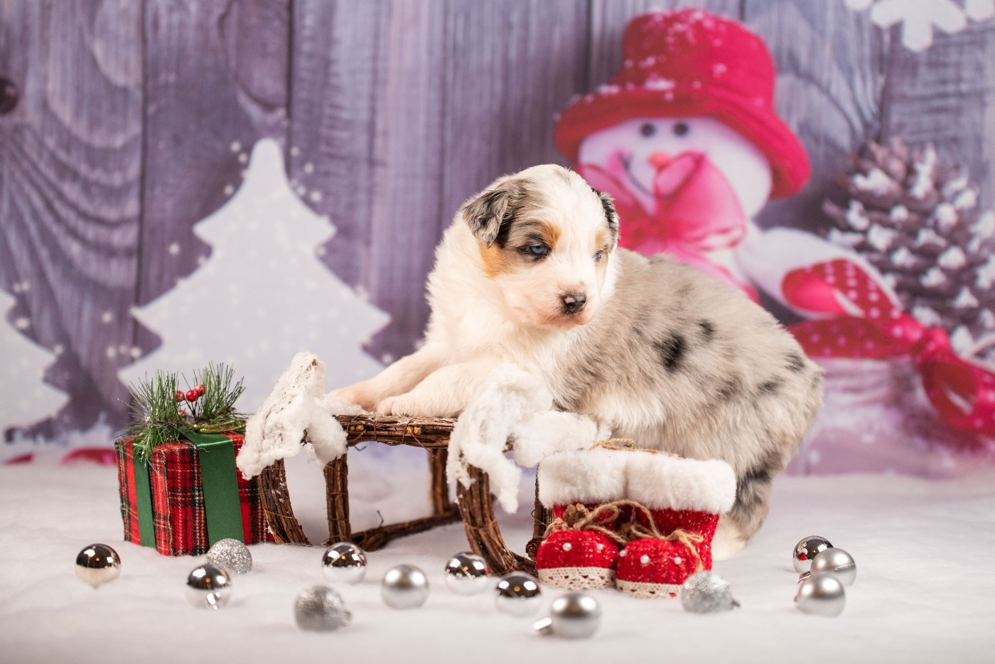 A du Feeling de Nolister