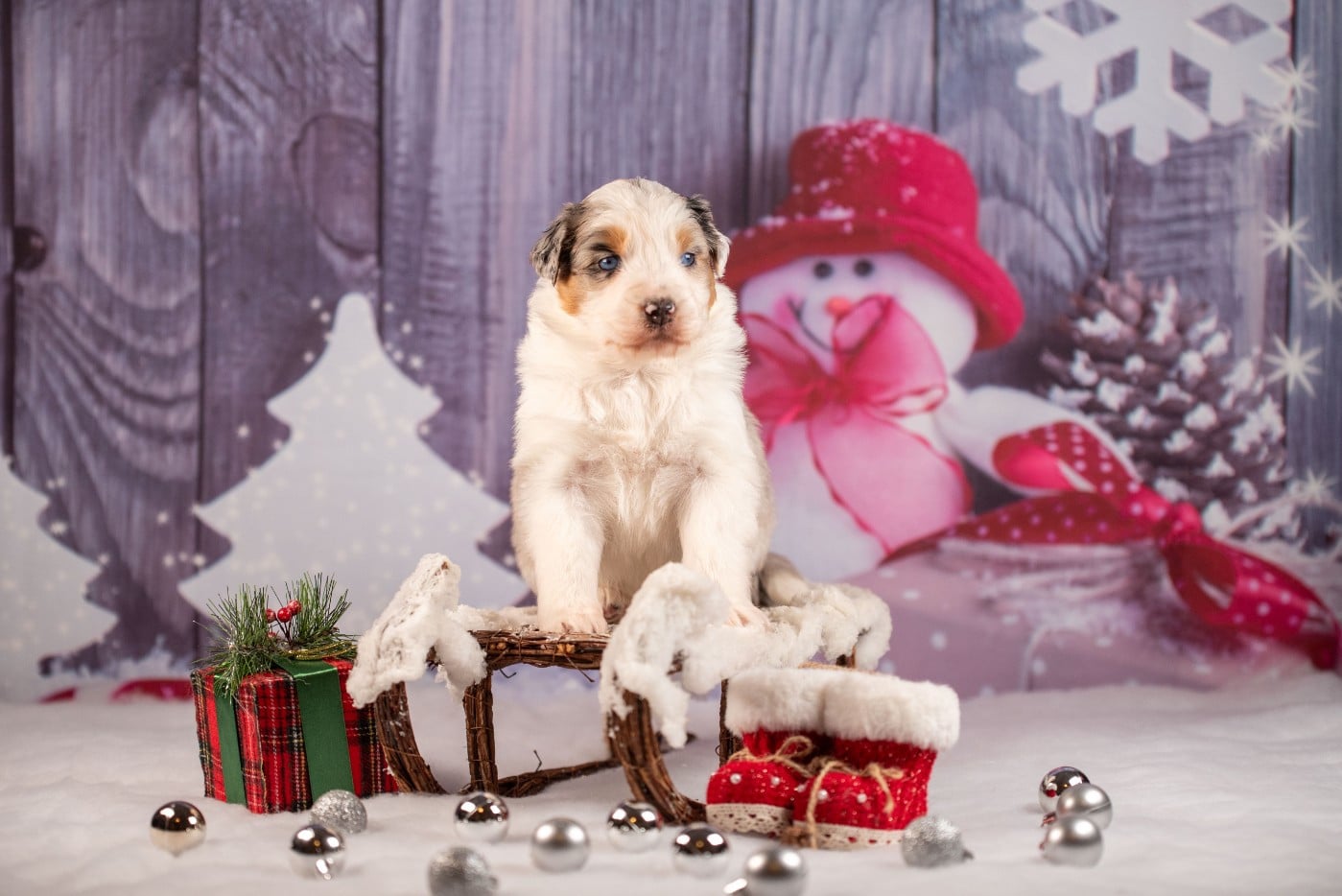 A du Feeling de Nolister