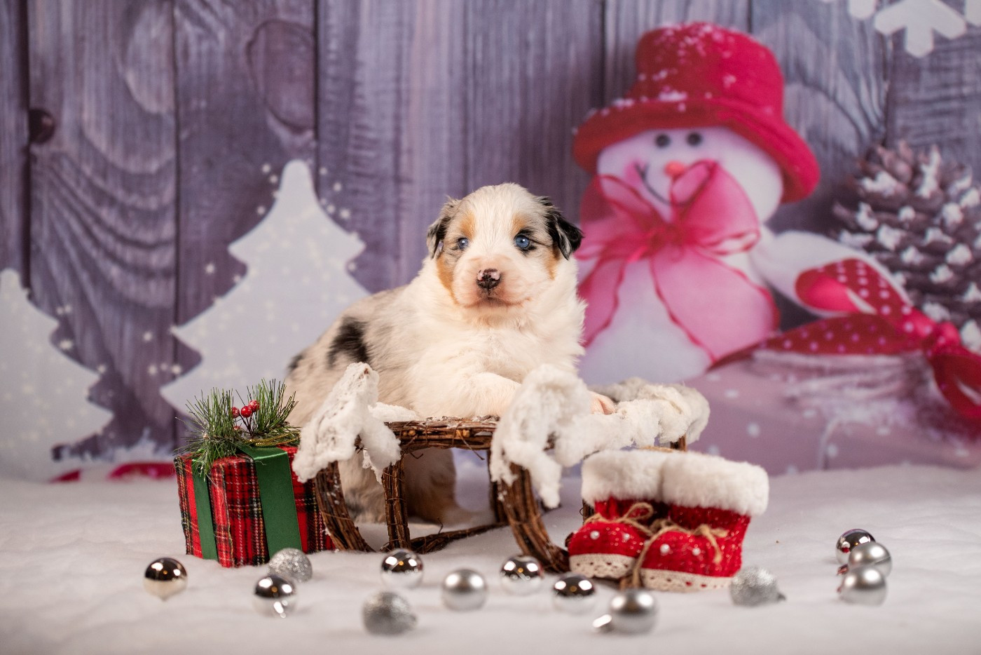 A du Feeling de Nolister