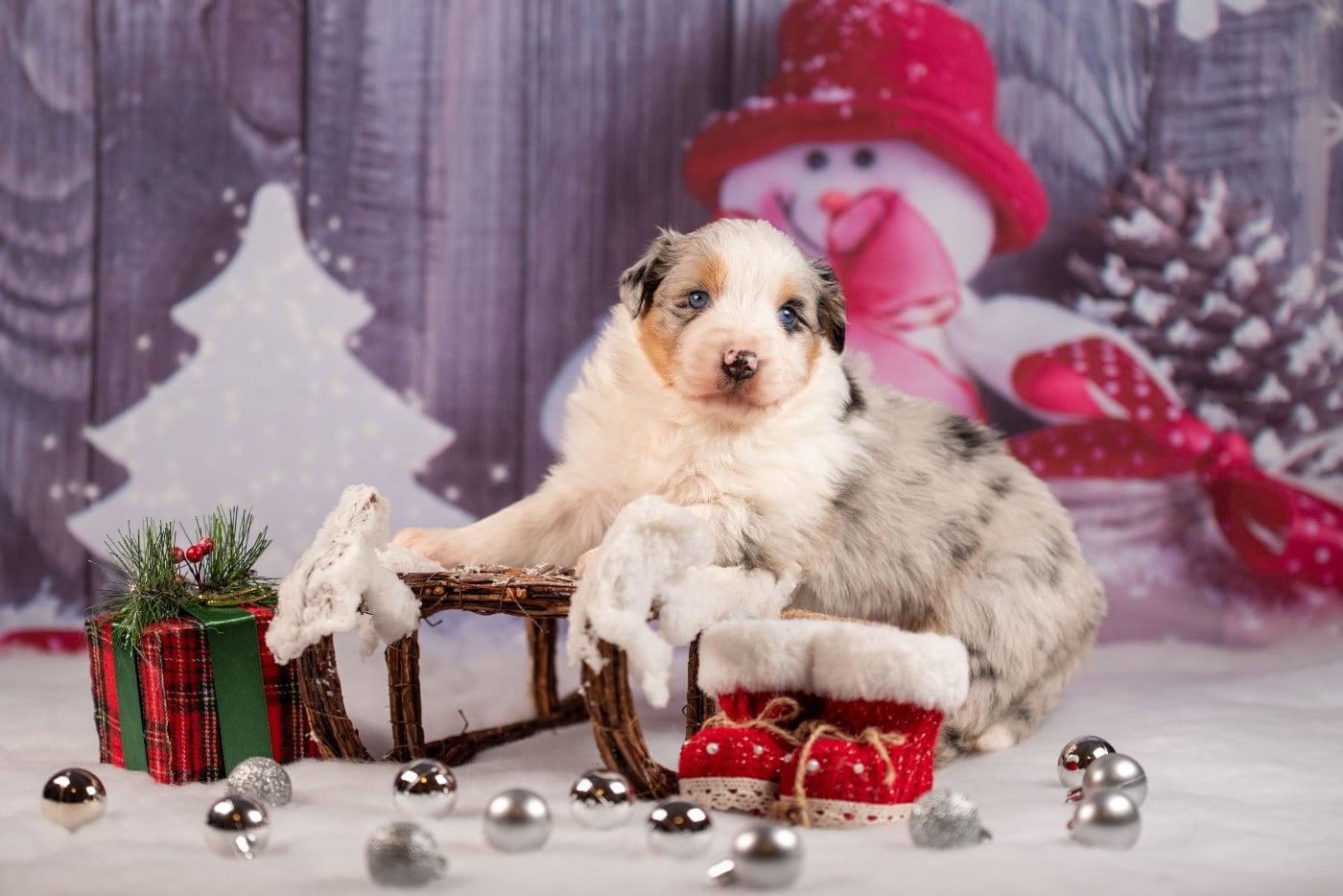 A du Feeling de Nolister