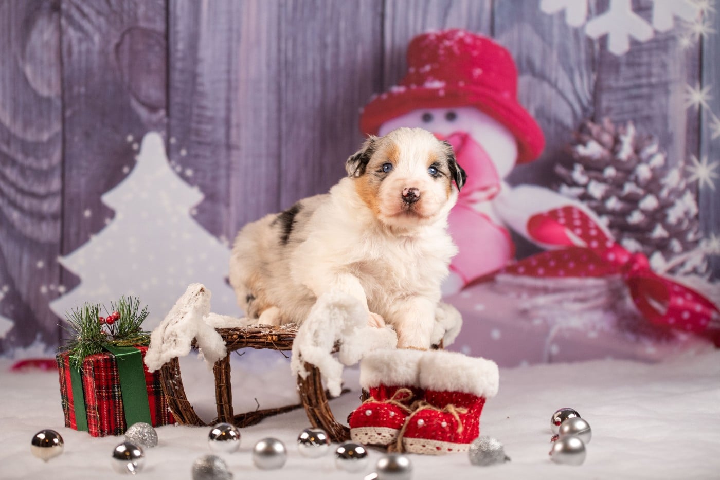 A du Feeling de Nolister