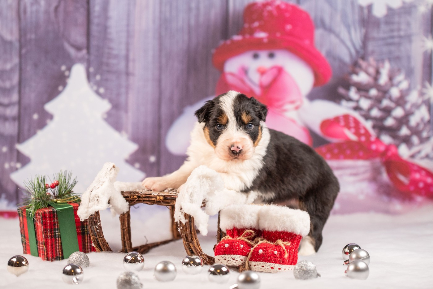 A du Feeling de Nolister