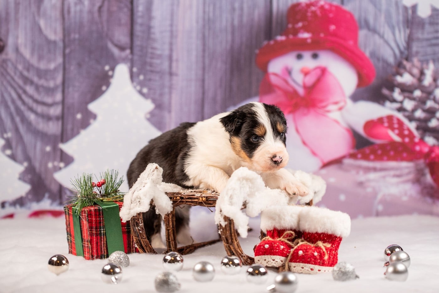 A du Feeling de Nolister