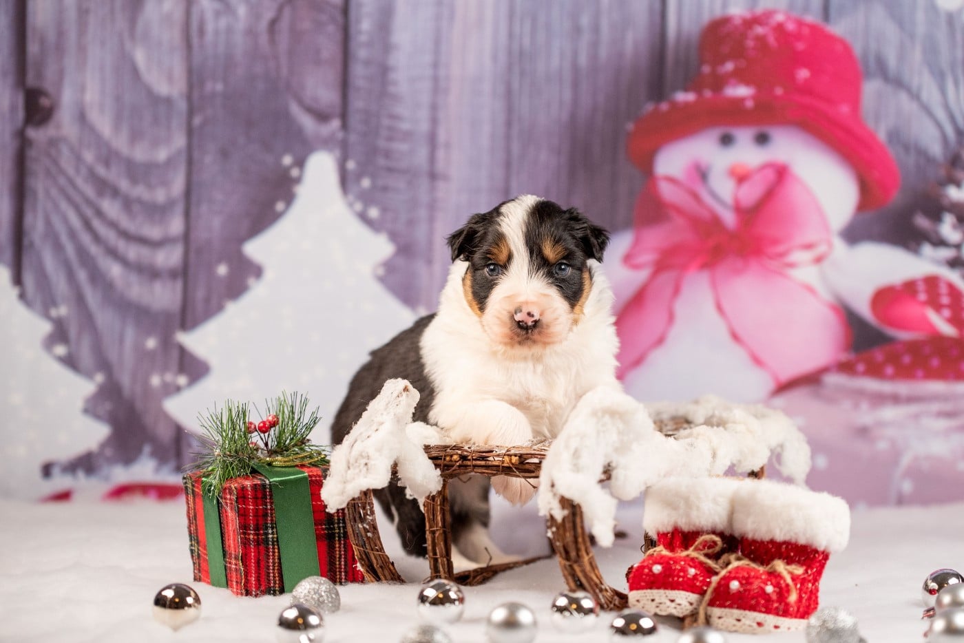 A du Feeling de Nolister