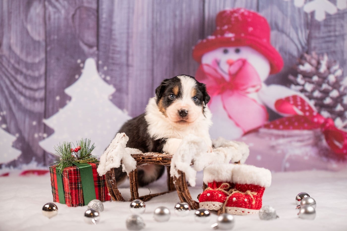 A du Feeling de Nolister