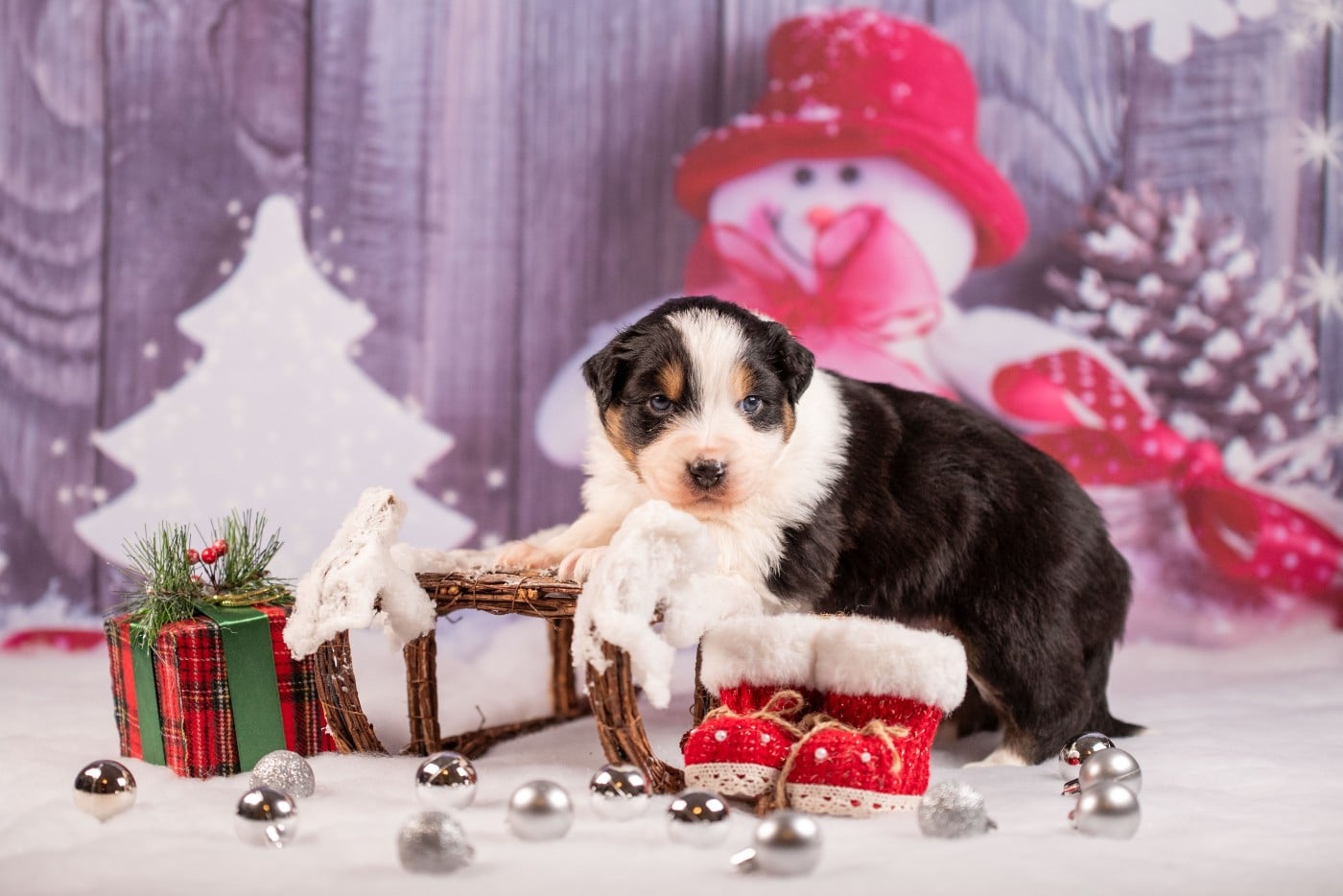 A du Feeling de Nolister