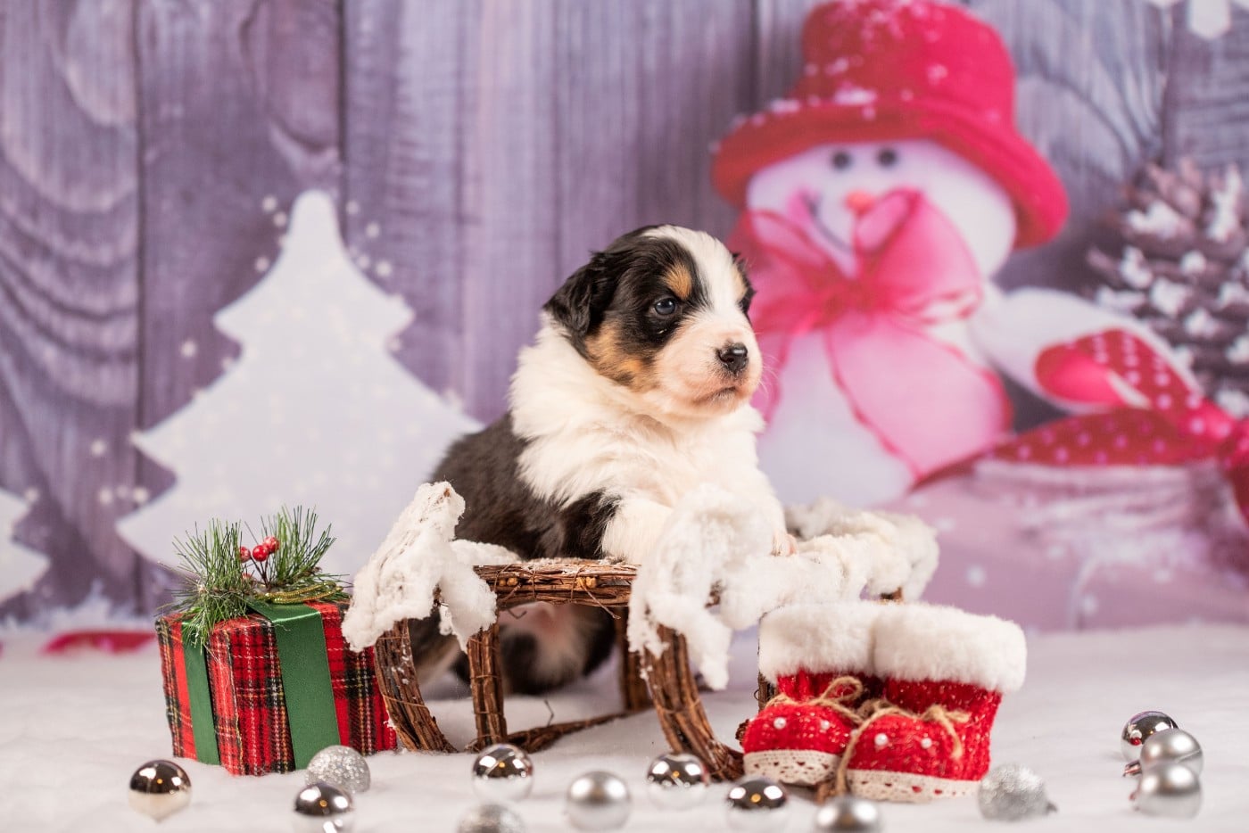 A du Feeling de Nolister