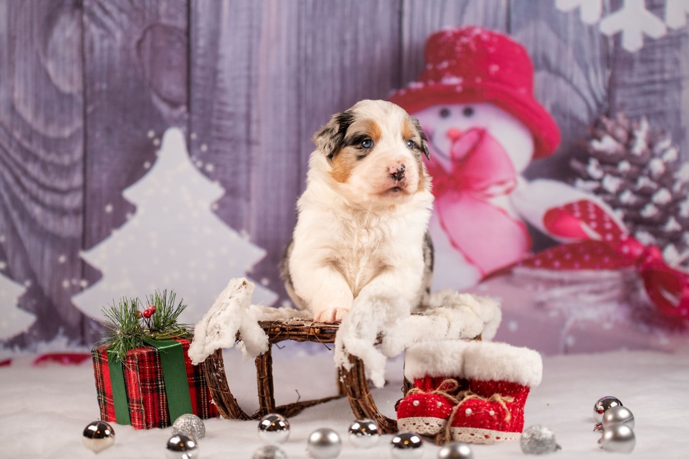 A du Feeling de Nolister