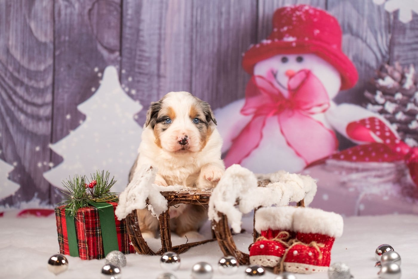 A du Feeling de Nolister