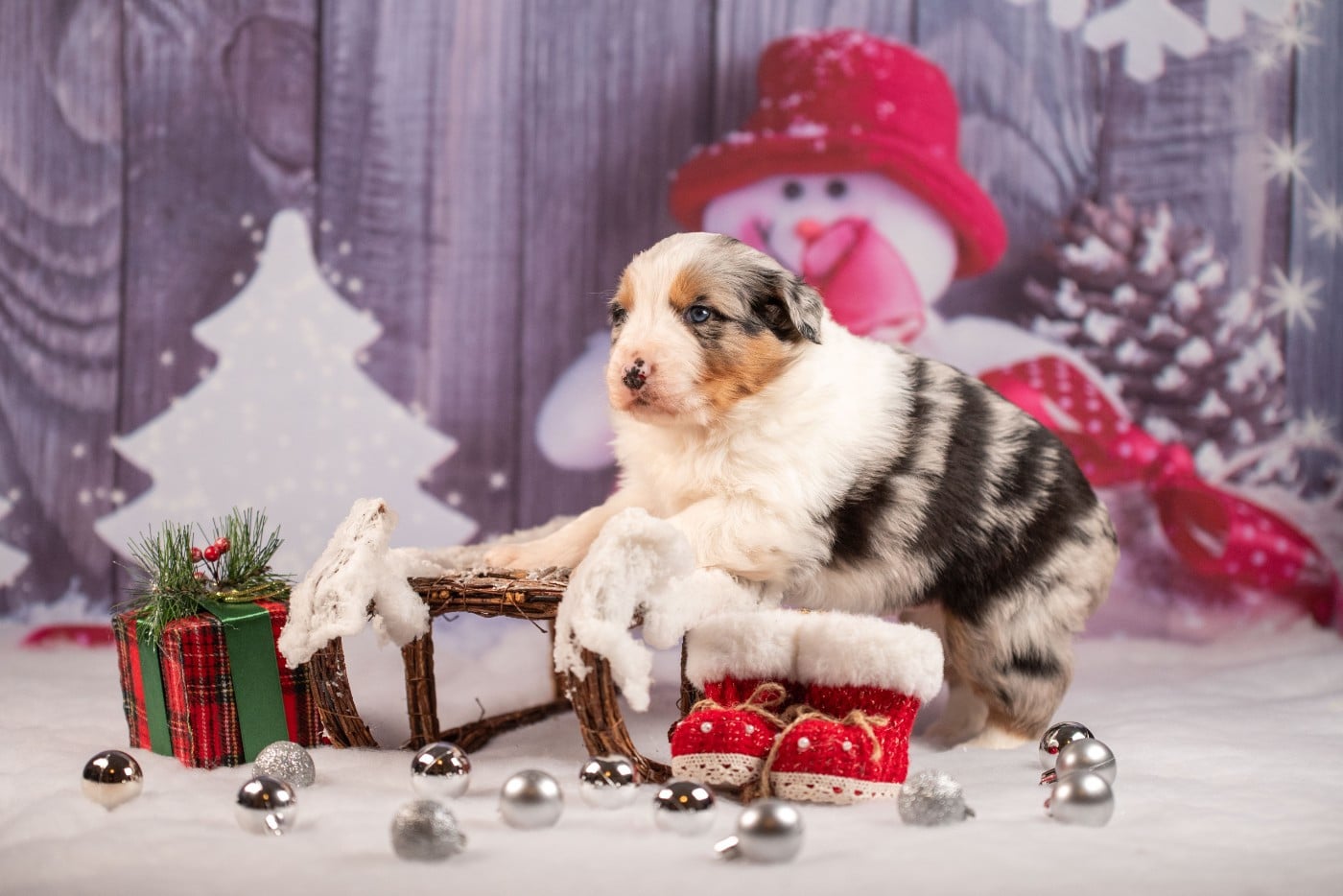 A du Feeling de Nolister