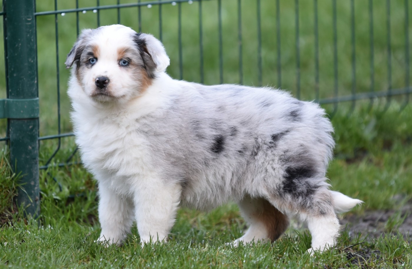 ALBANNE du Feeling de Nolister