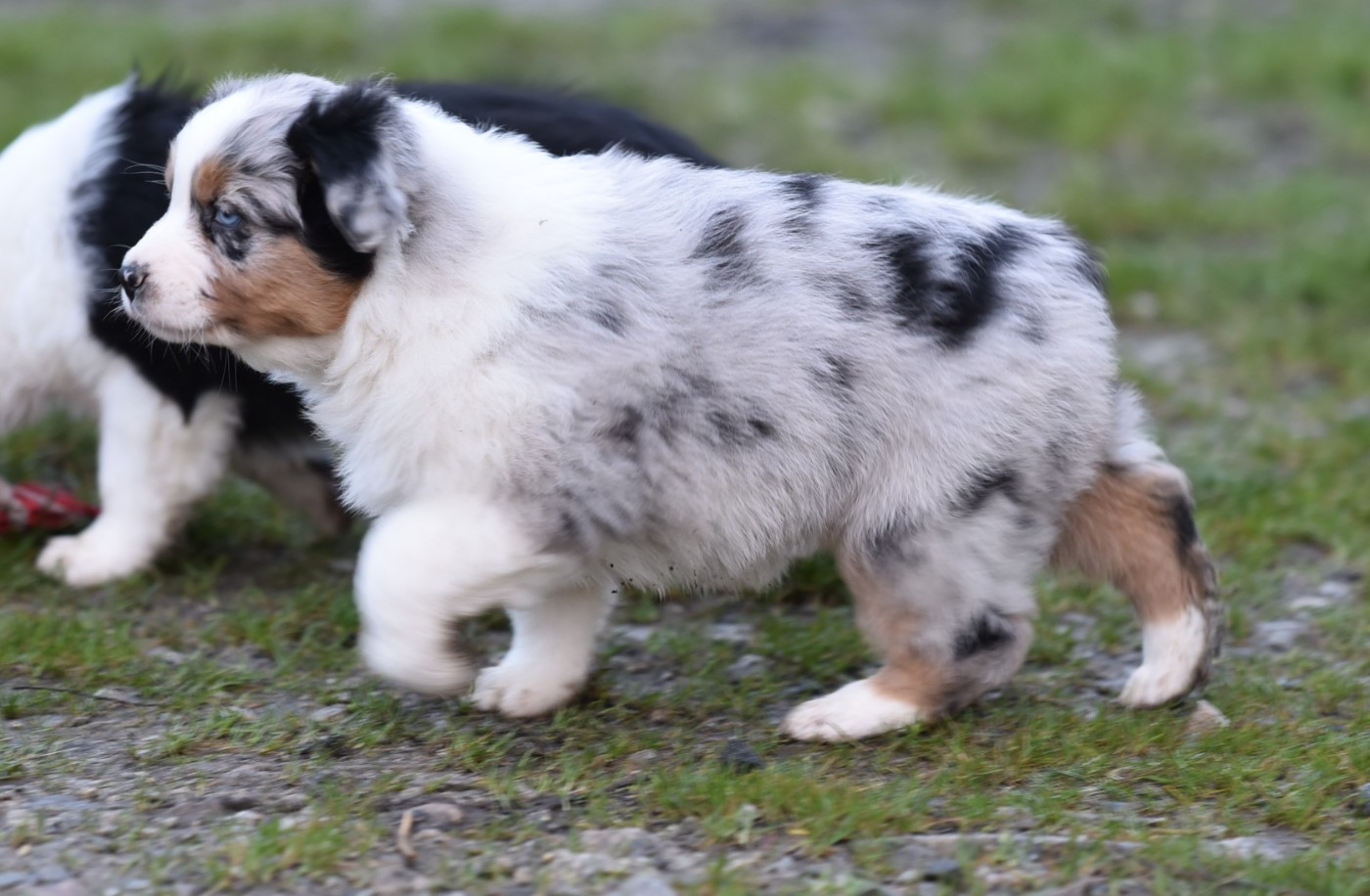 A ZAYKA du Feeling de Nolister