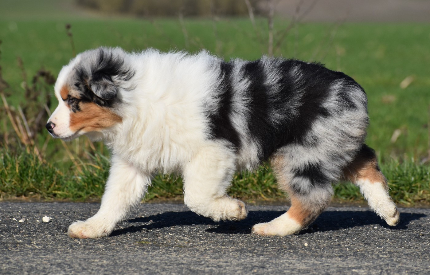 AZUR du Feeling de Nolister