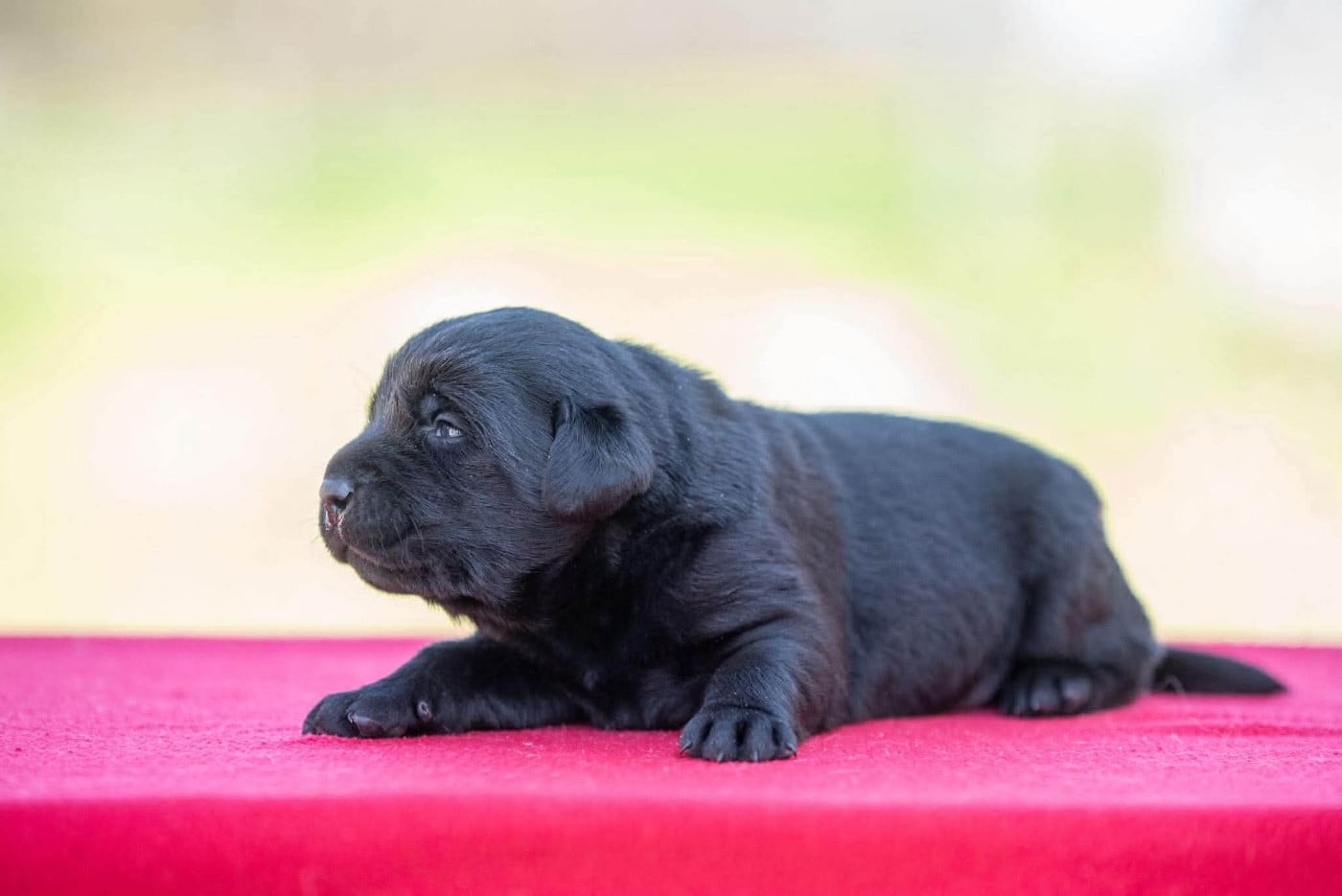 B...du Feeling de Nolister