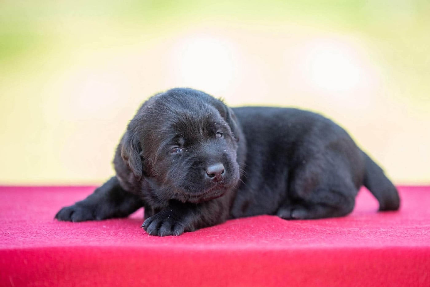 B...du Feeling de Nolister