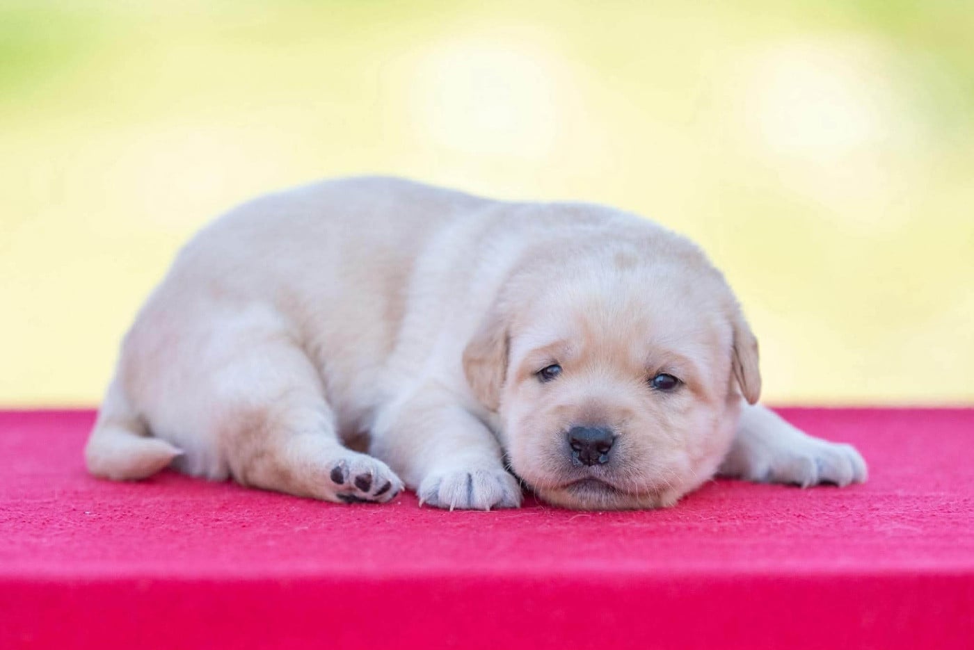 B...du Feeling de Nolister