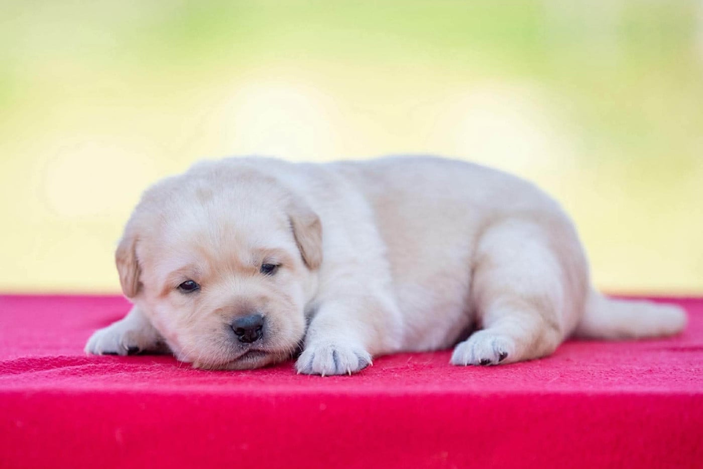 B...du Feeling de Nolister