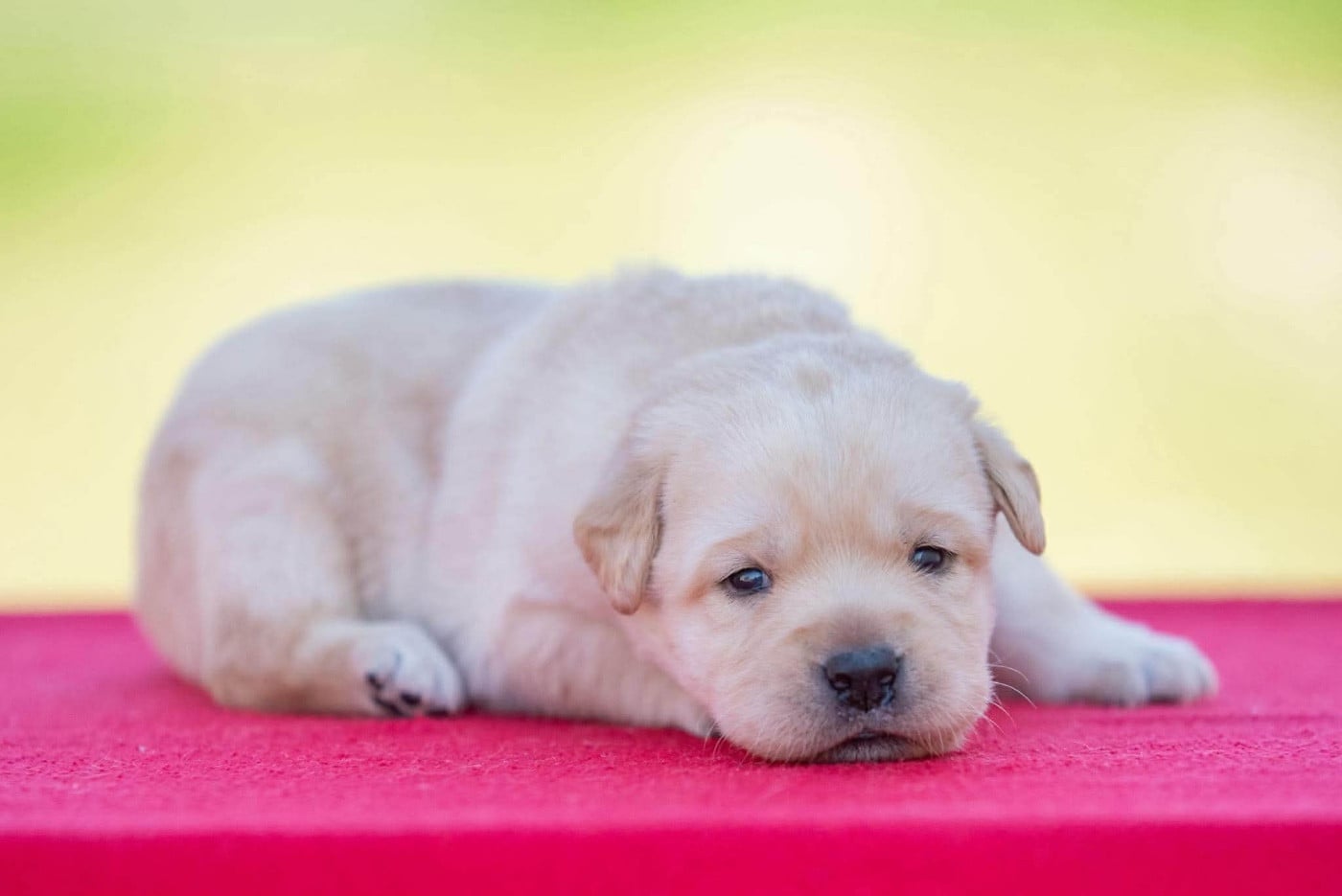 B...du Feeling de Nolister