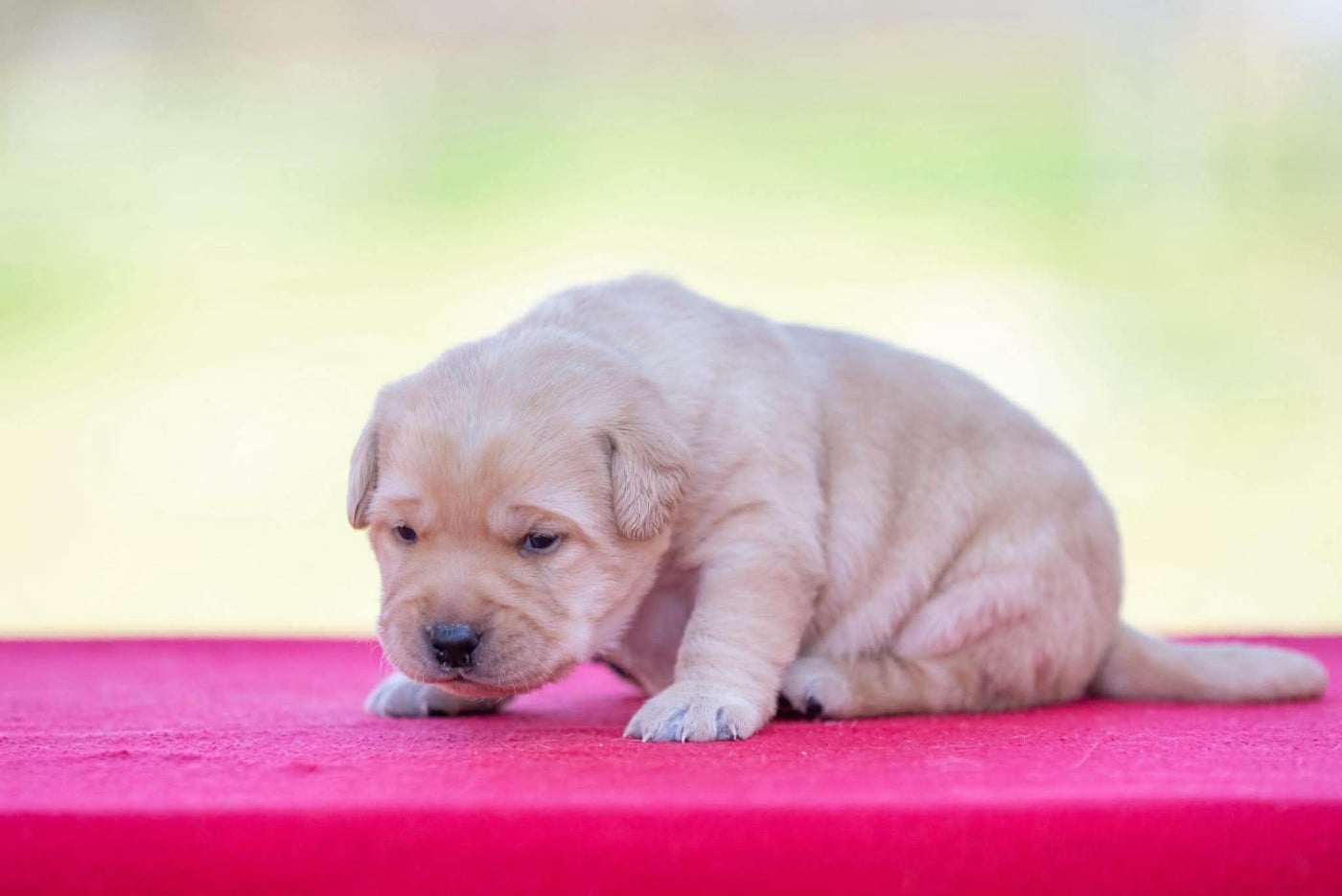 B...du Feeling de Nolister