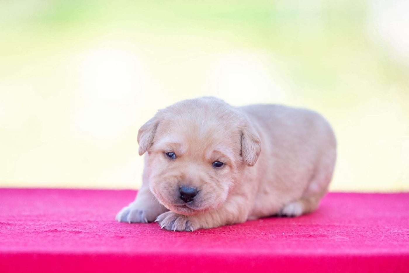 B...du Feeling de Nolister