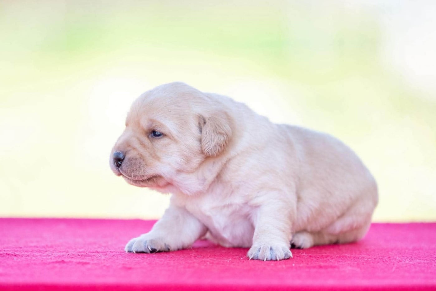 B...du Feeling de Nolister