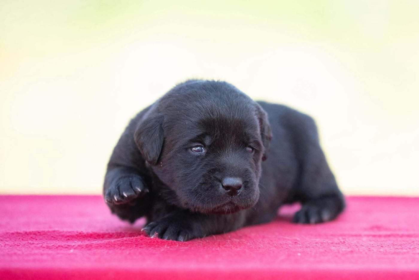 B...du Feeling de Nolister