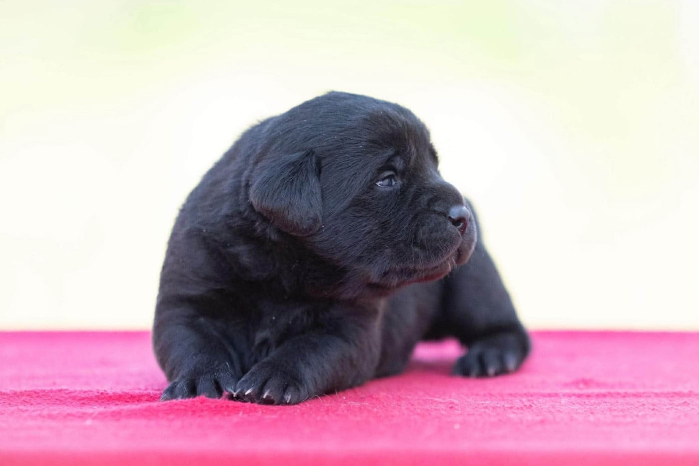 B...du Feeling de Nolister