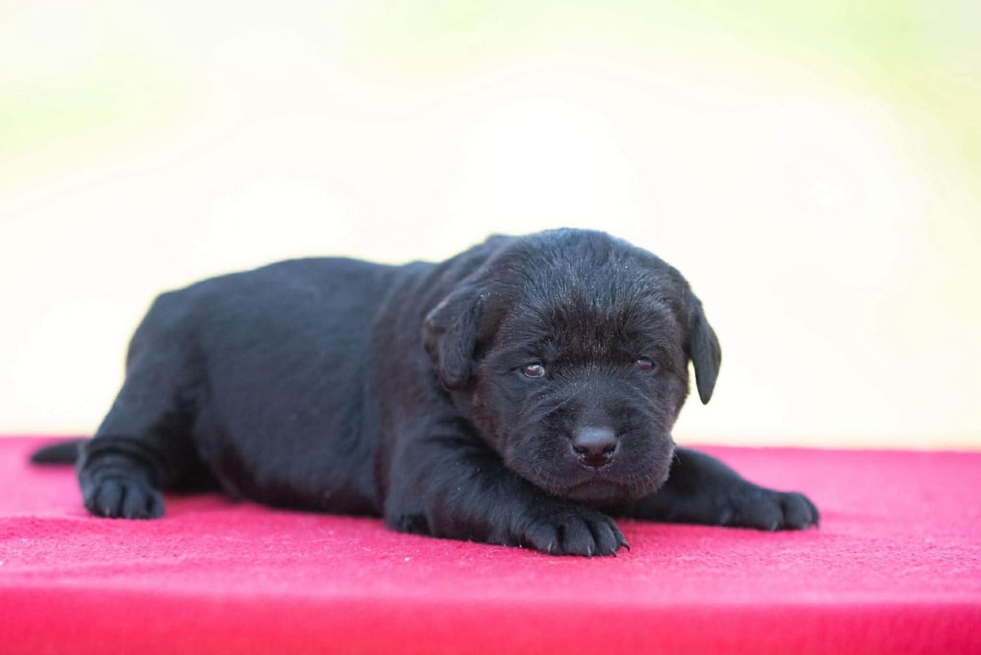 B...du Feeling de Nolister