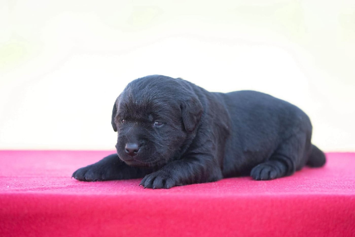 B...du Feeling de Nolister