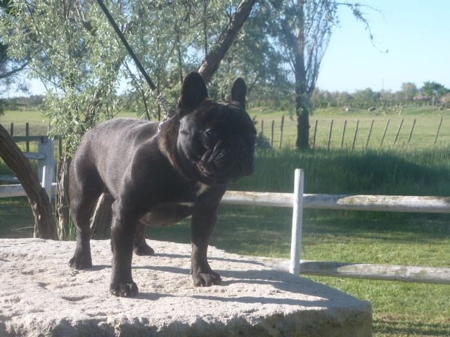 Publication : De Ker Paulo