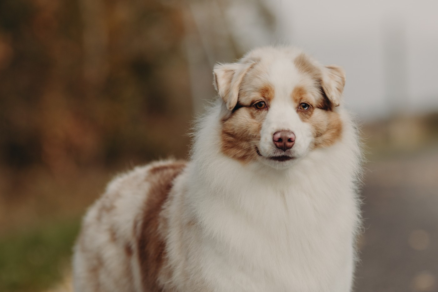 Publication : De La Vallée D'eska