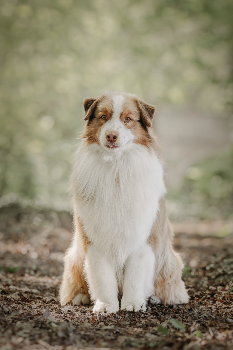 Oh sugar & spice De La Vallée D'eska