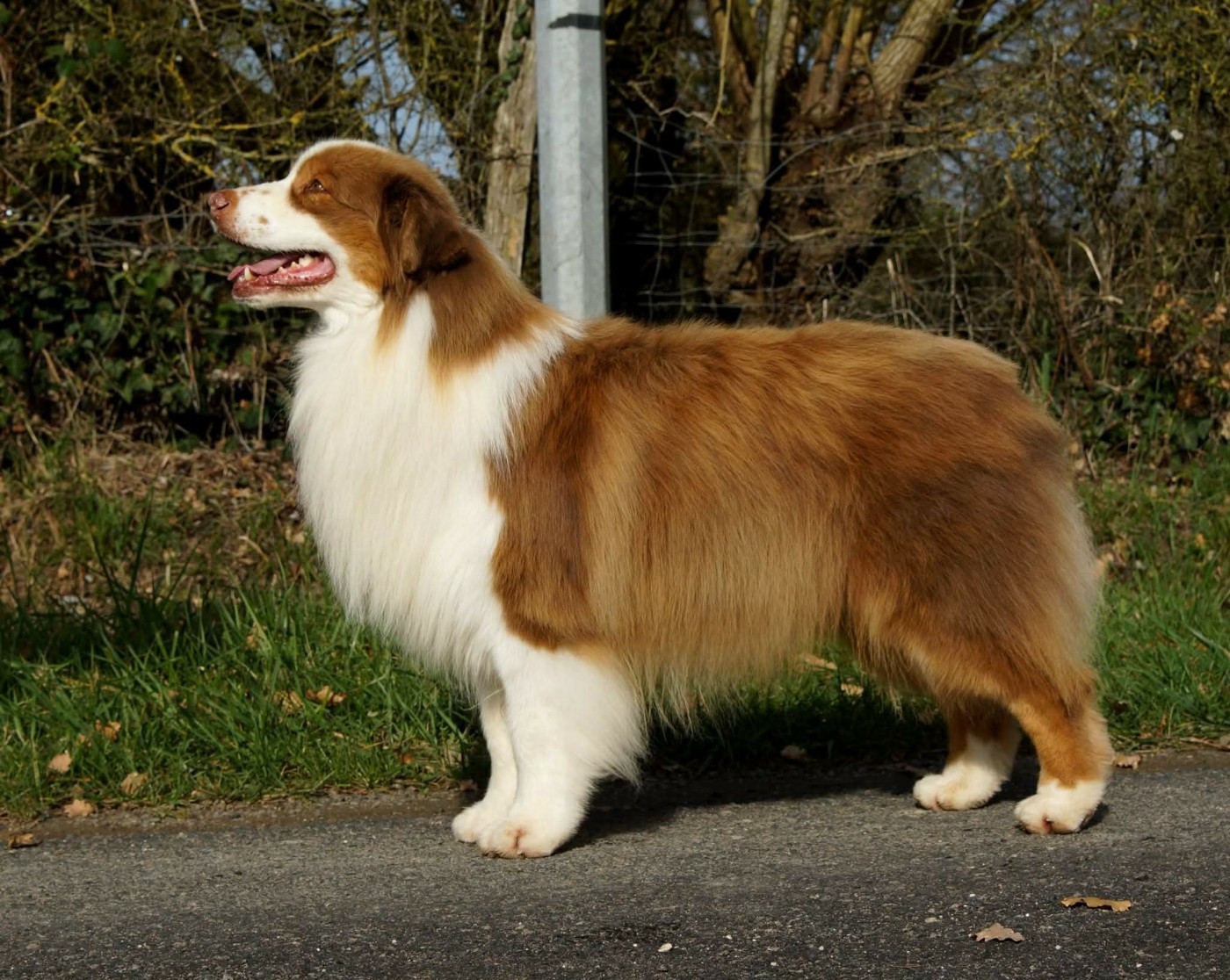 Oh sugar & spice De La Vallée D'eska