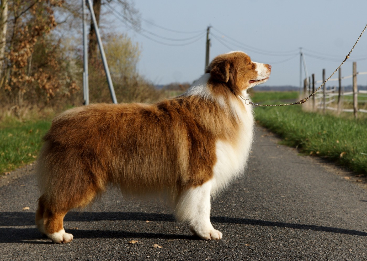 Oh sugar & spice De La Vallée D'eska