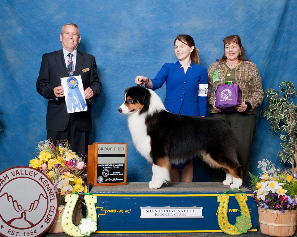 Publication : De La Vallée D'eska