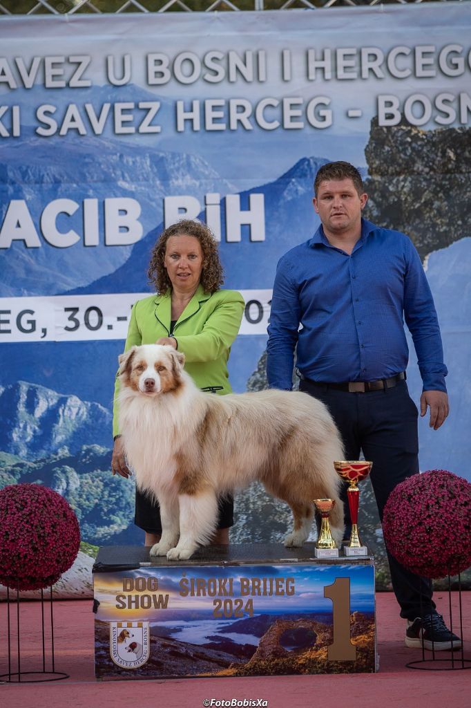 CH. Aimed money heist native tongue