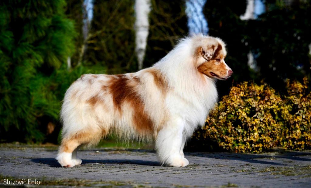 Publication : De La Vallée D'eska